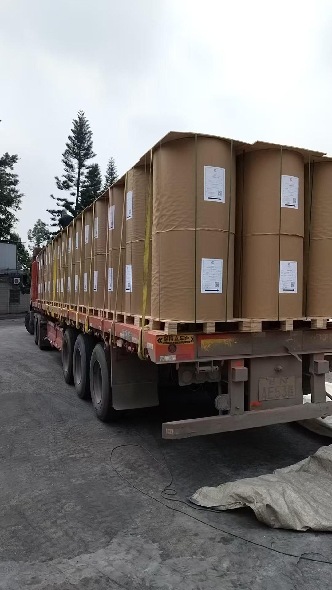 Jumbo thermal paper rolls prepared for export loading